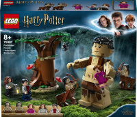 LEGO Harry Potter TM 75967 Zapovězený les: Setkán