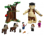 LEGO Harry Potter TM 75967 Zapovězený les: Setkán