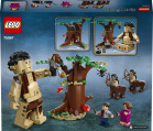 LEGO Harry Potter TM 75967 Zapovězený les: Setkán