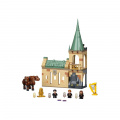 LEGO Harry Potter TM 76387 Bradavice: setkání