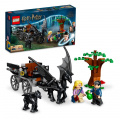 LEGO Harry Potter TM 76400 Bradavice: Kočár a test