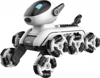 RoboPes Fleg