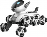 RoboPes Fleg