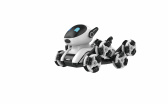 RoboPes Fleg