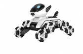 RoboPes Fleg