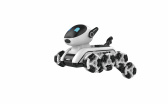 RoboPes Fleg